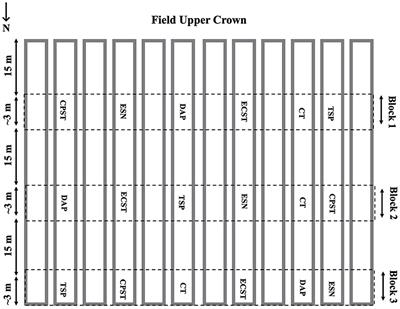 Struvite-phosphorus effects on greenhouse gas emissions and plant and soil response in a furrow-irrigated rice production system in eastern Arkansas